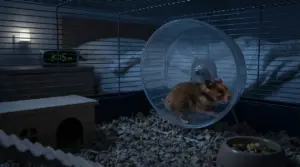 Criceto in gabbia che corre nella ruota durante la notte